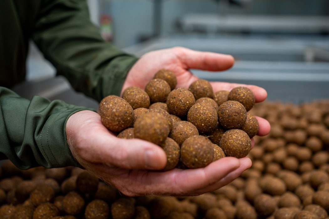 beste boilies 2023 karpervissen