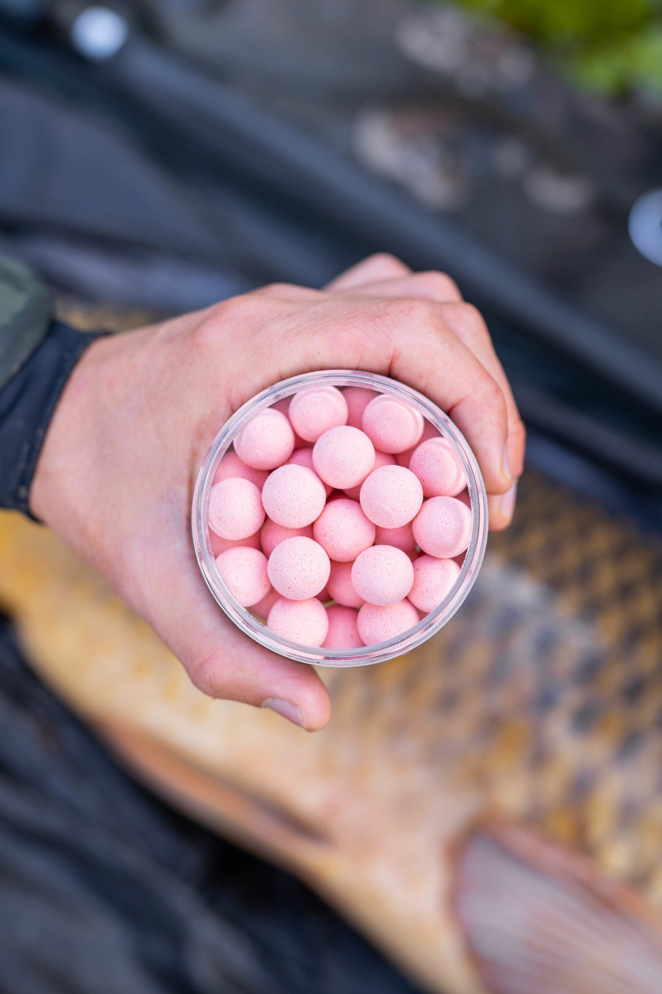 Pop-Ups - MH Specials - Boilies - KWO Shop