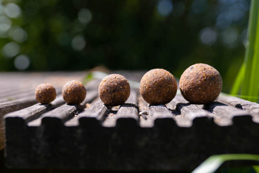 diameter boilies karpervissen voorjaar