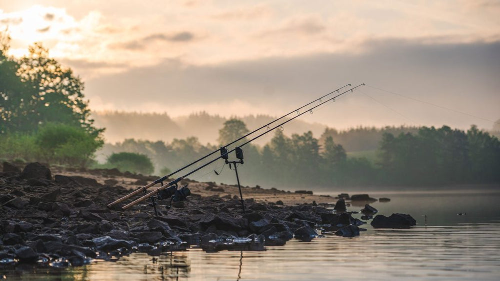 boilies voor karpervissen in frankrijk