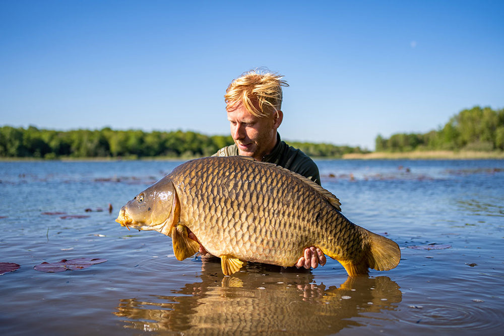 karpervissen in het voorjaar mark hofman 