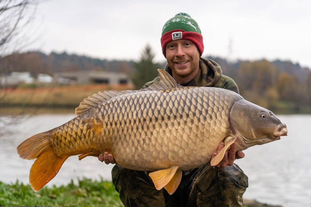 kwo squid boilies vangst mark hofman