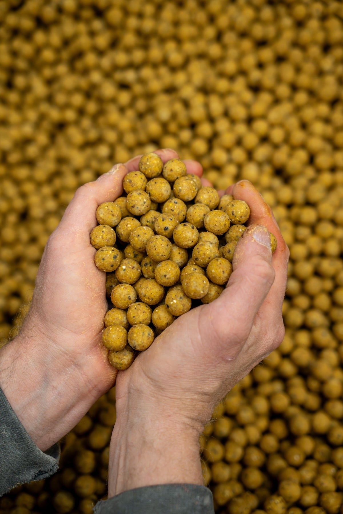 Cultured Scopex Boilies