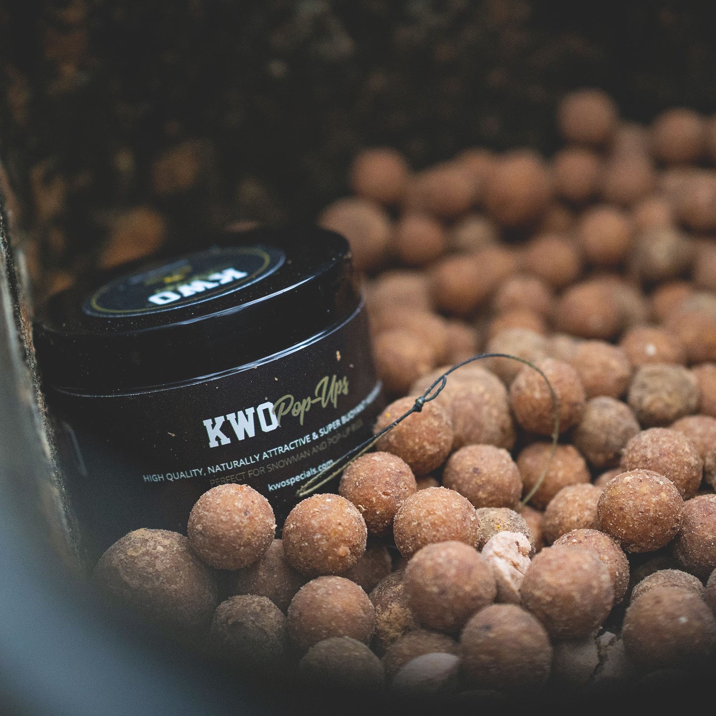 BOILIES