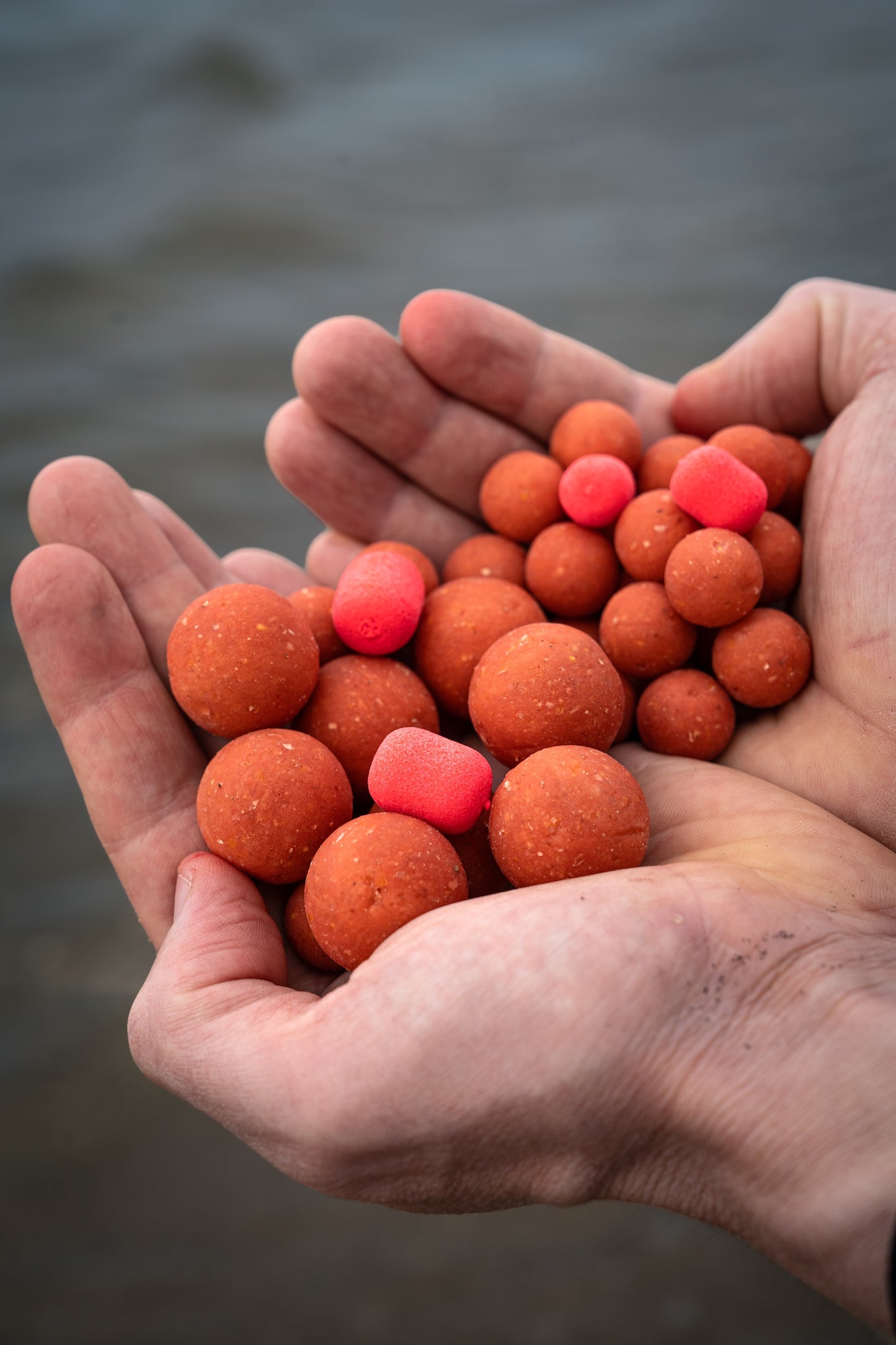 candy cream dumbell wafters