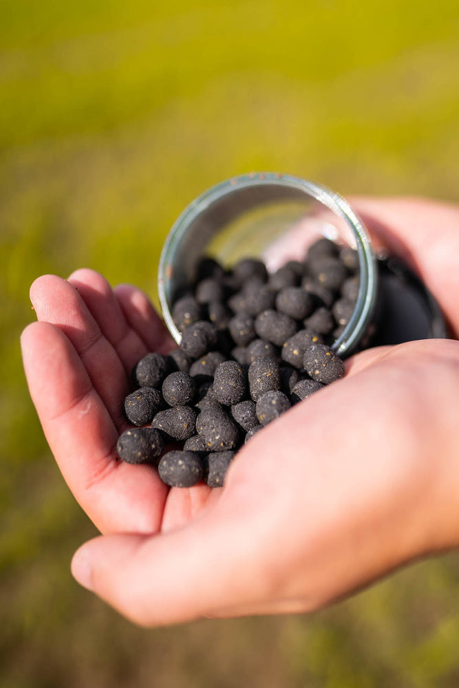 
                  
                    Boilie en Pellet Mix voor karpervissen
                  
                
