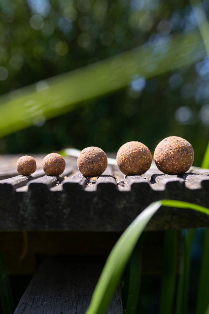 
                  
                    KWO Squid Specials 5KG - Boilies - KWO Shop
                  
                