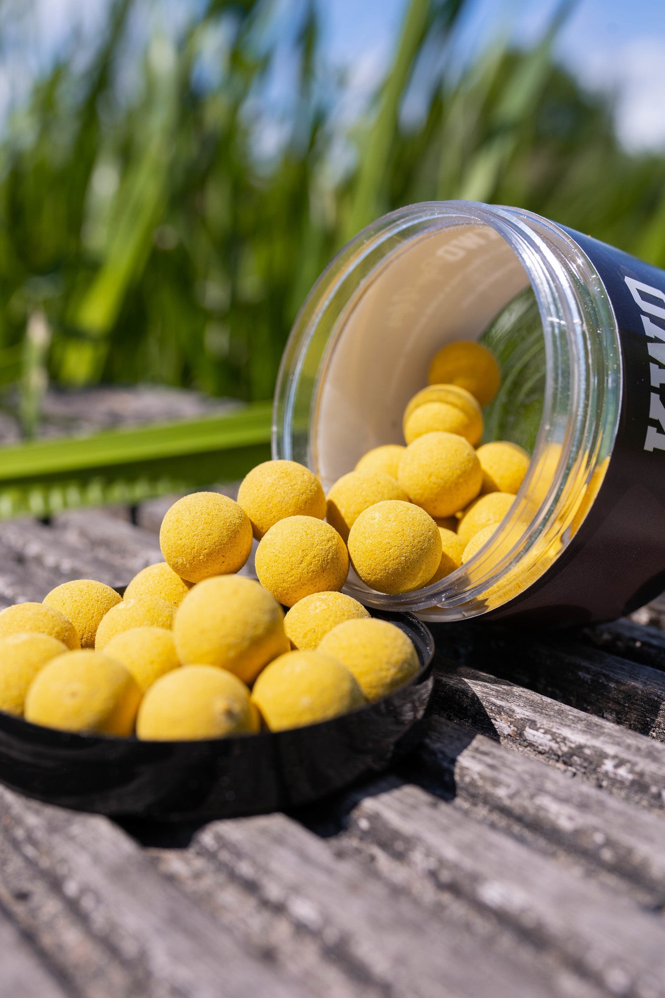 
                  
                    Bait Package XXL - 15 KG Squid Specials - Boilies - KWO Shop
                  
                