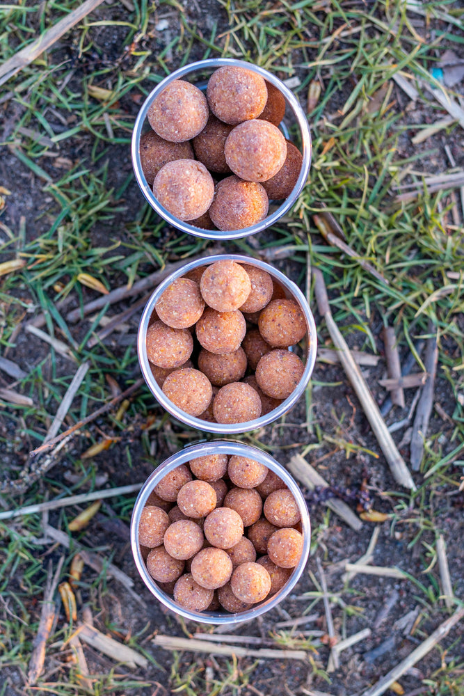 
                  
                    Hard Hookbaits - Krill Specials - Boilies - KWO Shop
                  
                