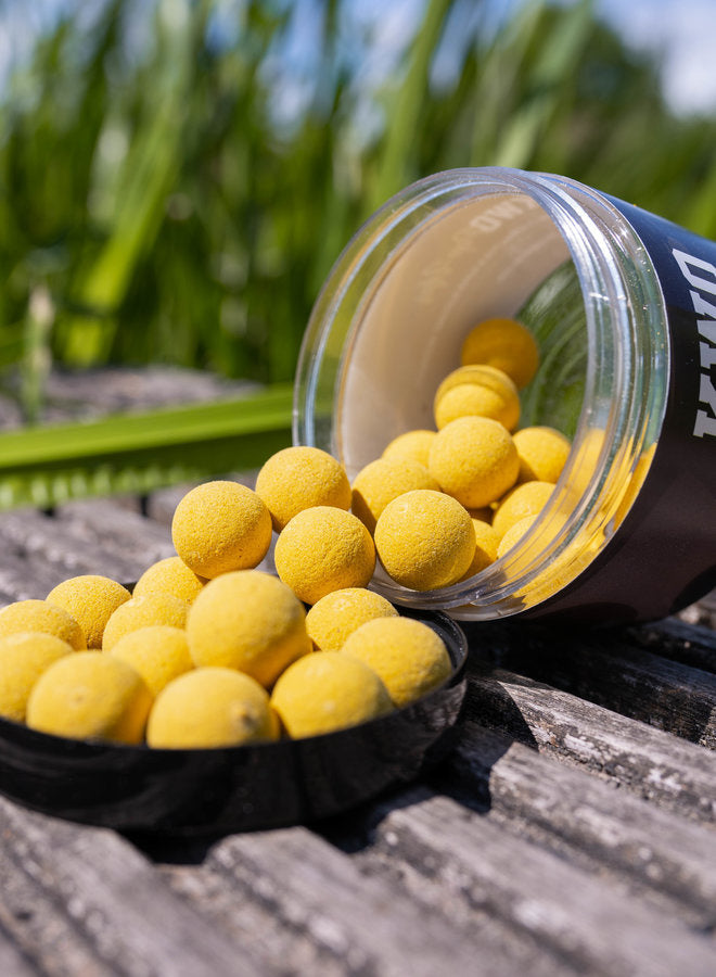 
                  
                    Starter Pack 2.5KG - Squid Specials - Boilies - KWO Shop
                  
                